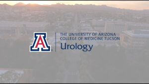 University Of Arizona PSLF Program
